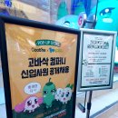 채원컴퍼니 티스토리