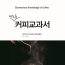 까페커피콩나무