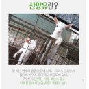 모심산양유