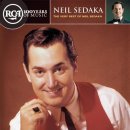 You Mean Everything To Me - Neil Sedaka - 이미지