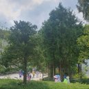 샬롬목장 이미지