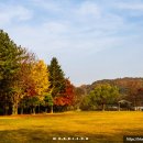 대공원치안센터 이미지