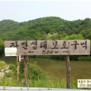 영선농장 이미지