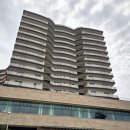 충남 보령 무창포 조개줍기 조개없어요 솔직후기