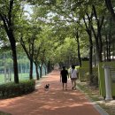 마들체육공원 이미지