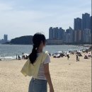 송정해변로20-1 | 부산 해운대블루라인파크 해변열차 탑승 후기, 츄플러스 부산송정점, 서면 더스타뷔페