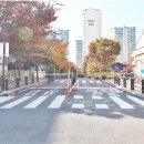 퍼펙트쉴드파주 이미지