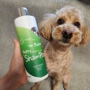 퍼피포레스트 | 강아지 저자극 샴푸 추천"포레스트허그 더 퓨리프 퍼피 샴푸"사용 후기