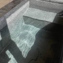 소노펠리체 델피노 이미지