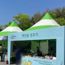 백연골발효차 이미지