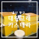 대왕고래카스테라