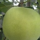 대정농장 이미지