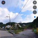 포레스트 명례 이미지