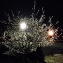 가평행복마을 이미지