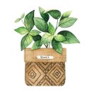 임실당구장 이미지