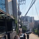 여의도 동물병원 은하점 | [서울 가볼만한곳] 한남동부터 반포 한강공원까지! 한남동 데이트 코스 추천