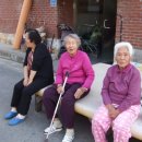 온양중앙초등학교 이미지