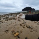 만리포몰디브 이미지