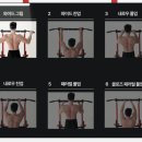 (주)포스로 | 멜킨 포스 치닝디핑 2주차 후기｜운동 많이 못한 주에도 루틴 지켜준 홈트기구