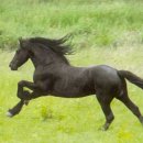 권세목장 이미지