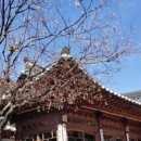 북촌C(계동/원서동) 이미지