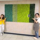 충현중학교 이미지