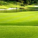 엘리체컨트리클럽 이미지