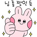 뉴현대카 이미지