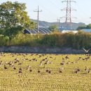 구산배수펌프장 이미지