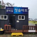 청솔마트 | 태안 캠핑 몽상포 청솔캠핑 맛조개 체험 후기