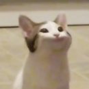 더캄네일