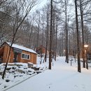 조령산자연휴양림 이미지