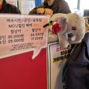 stay 짚 | 여수 라마다해상짚트랙 :: 가볼만한곳 추천 (근처맛집까지)