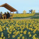 통영의봄민박 이미지