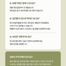 쉼표약국 | 바나바잎 효능 마시는 물로 혈당관리 당쉼 결명자차 서리태콩차 마셔본 후기