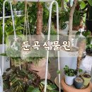 둔곡식물원