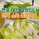 알배추로 냉동만두 찌기!! 이미지