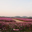 만수무강 이미지