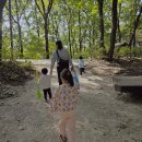 별내 유아숲체험원 이미지