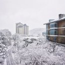 곤지암리조트 이미지