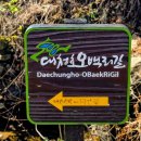 갈밭식당 | 대청호 오백리길 1구간-(대청댐 물문화관~지명산~삼정동~갈전동~이현동)-251129