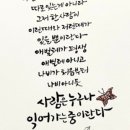 디자인의 완성 캘리(캘리그라피기초반) 이미지