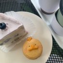 [꿉] 강동 카페 블루베리 케이크 마카롱 맛집