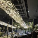 노블레스 식당