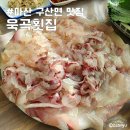 자연산매운탕 | 마산 구산면 맛집 욱곡횟집 자연산 모듬회 매운탕 내돈내산 솔직후기