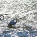 순천만둥지 이미지