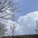 꿈벌사슴목장 이미지