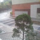 길음역 5번출구 Daum카페