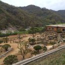 팽나무 농장 이미지