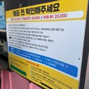 강릉 여행 액티비티 아라나비 하늘자전거 짚라인 내돈내산 후기